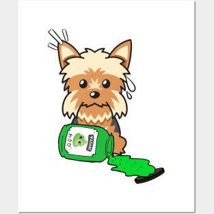 Naughty Yorkshire Terrier Spilled Wasabi Posters and Art